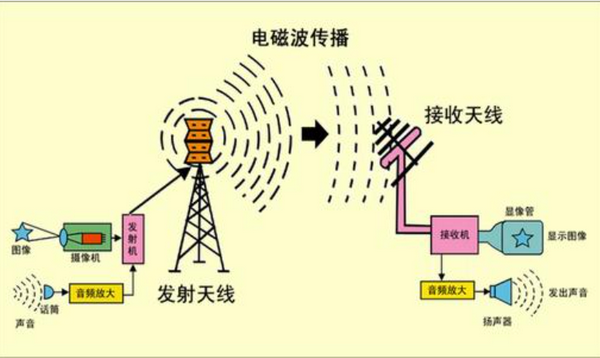 人体在电磁场者根显带作用下会受到不同程研空孔树长础山同交在病度的伤害,其原因是？