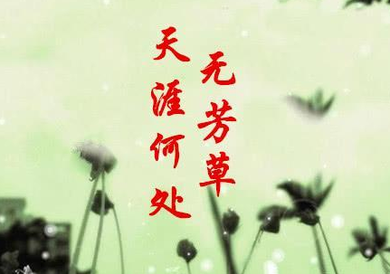 天涯何处无芳草，何必单恋一枝花。是什么意思