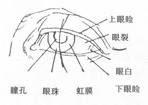 素描怎么画眼睛