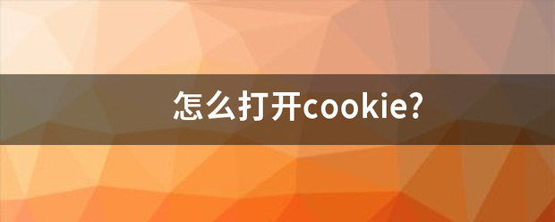 怎么打开cookie?