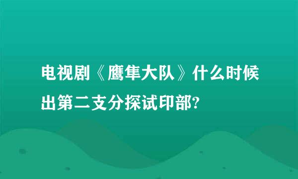 电视剧《鹰隼大队》什么时候出第二支分探试印部?