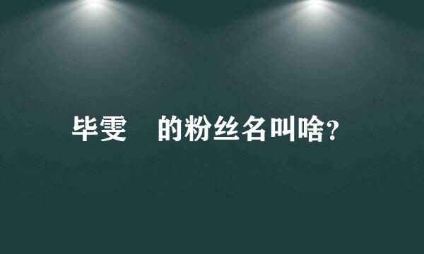 毕雯珺的粉丝名叫啥？