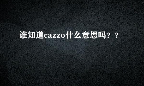 谁知道cazzo什么意思吗？？