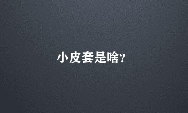 小皮套是啥？