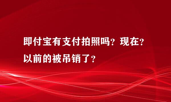 即付宝有支付拍照吗？现在？以前的被吊销了？