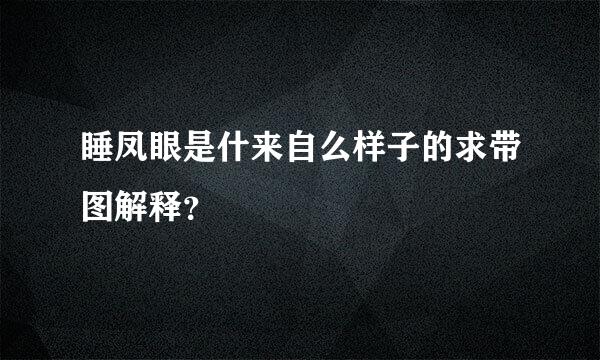 睡凤眼是什来自么样子的求带图解释？