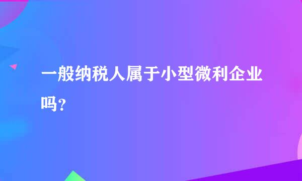 一般纳税人属于小型微利企业吗？