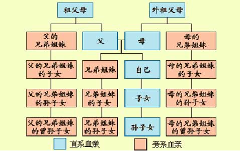 公安政审三代以内旁系血亲图10