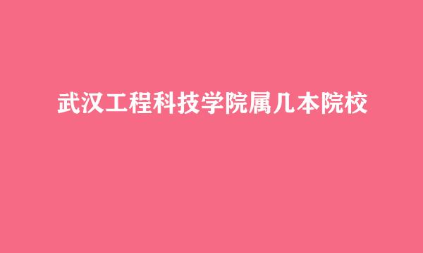 武汉工程科技学院属几本院校