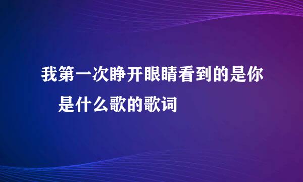 我第一次睁开眼睛看到的是你 是什么歌的歌词