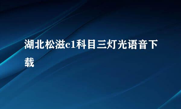 湖北松滋c1科目三灯光语音下载