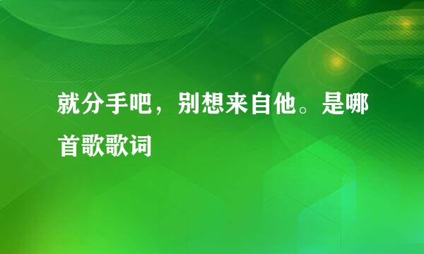 就分手吧，别想来自他。是哪首歌歌词