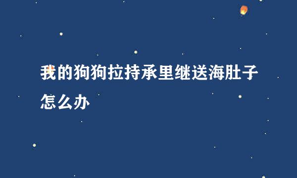 我的狗狗拉持承里继送海肚子怎么办