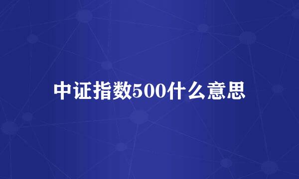 中证指数500什么意思