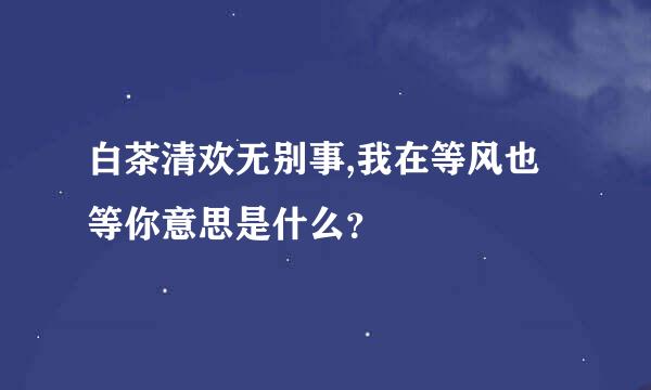 白茶清欢无别事,我在等风也等你意思是什么？