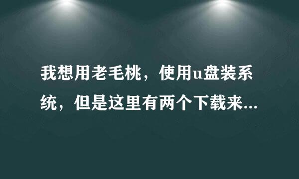 我想用老毛桃，使用u盘装系统，但是这里有两个下载来自，装机版跟uefi版，有区别吗？还是两个都下，我主