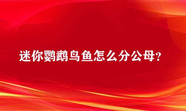 迷你鹦鹉鸟鱼怎么分公母？