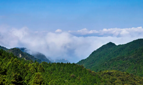 江西九江旅游必去十大景点