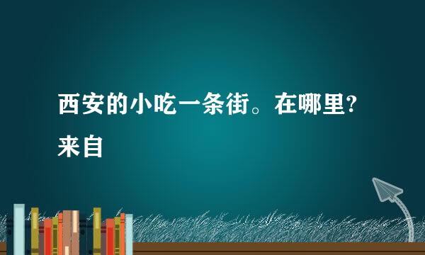 西安的小吃一条街。在哪里?来自