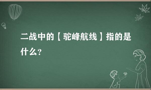 二战中的【驼峰航线】指的是什么？