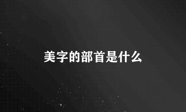 美字的部首是什么