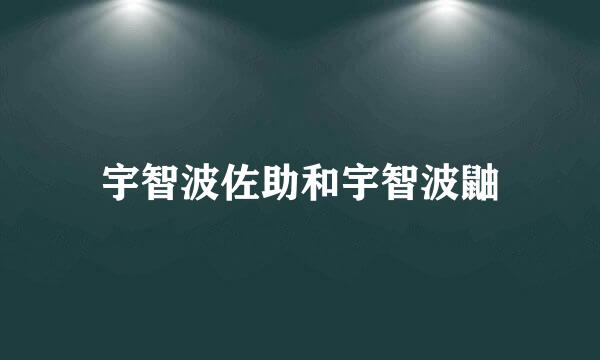 宇智波佐助和宇智波鼬