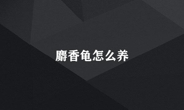 麝香龟怎么养