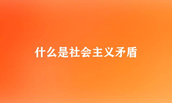 什么是社会主义矛盾