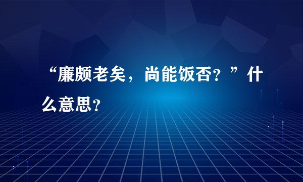 “廉颇老矣，尚能饭否？”什么意思？