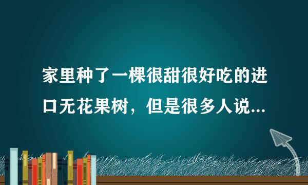 家里种了一棵很甜很好吃的进口无花果树，但是很多人说无花果树是阴树不能种庭院对风水不利，请问懂的人？