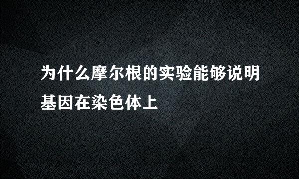 为什么摩尔根的实验能够说明基因在染色体上