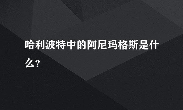 哈利波特中的阿尼玛格斯是什么？