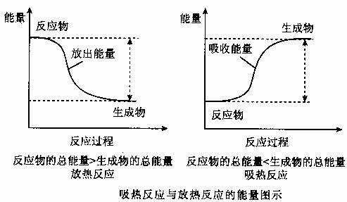 哪些反应是放热反应？哪些是吸热反应？