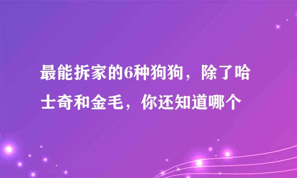 最能拆家的6种狗狗，除了哈士奇和金毛，你还知道哪个