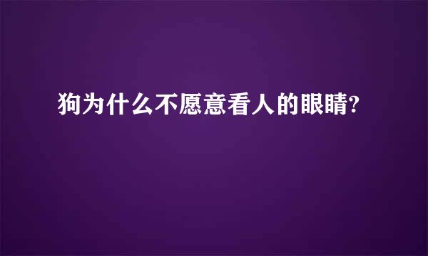 狗为什么不愿意看人的眼睛?