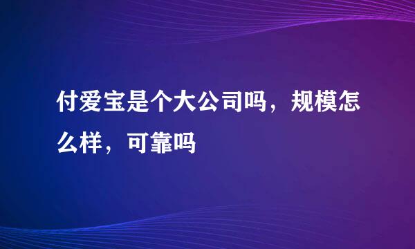 付爱宝是个大公司吗，规模怎么样，可靠吗