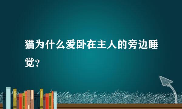 猫为什么爱卧在主人的旁边睡觉？