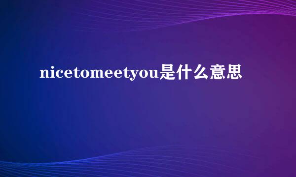 nicetomeetyou是什么意思