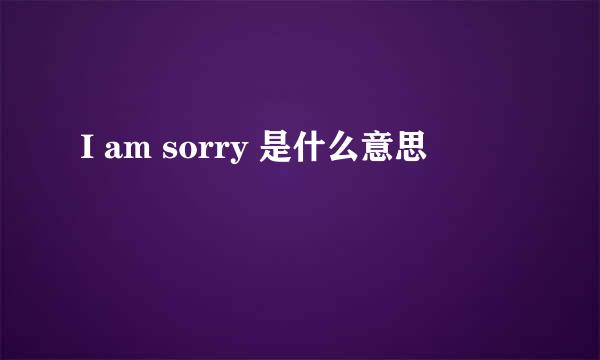 I am sorry 是什么意思