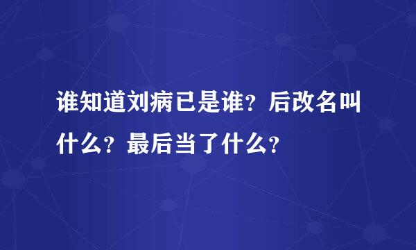 谁知道刘病已是谁？后改名叫什么？最后当了什么？