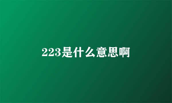 223是什么意思啊