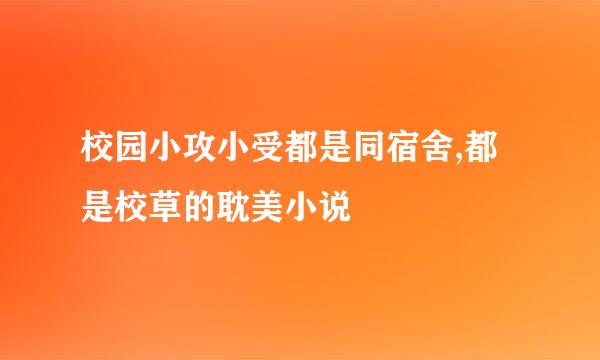 校园小攻小受都是同宿舍,都是校草的耽美小说