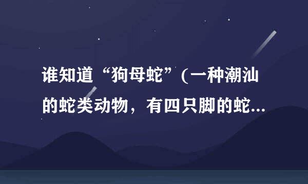 谁知道“狗母蛇”(一种潮汕的蛇类动物，有四只脚的蛇)的学名是什么