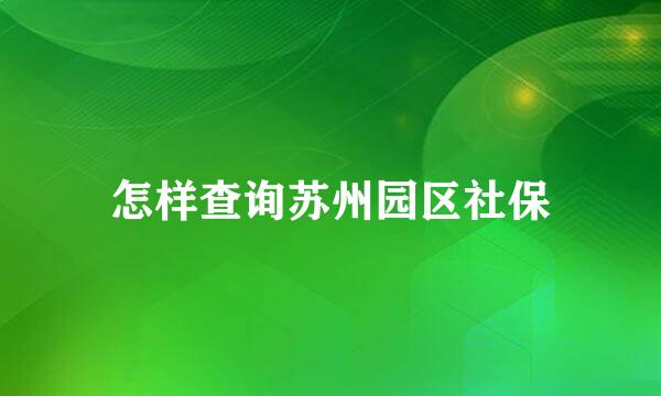 怎样查询苏州园区社保