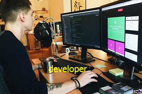 developer是什么意思