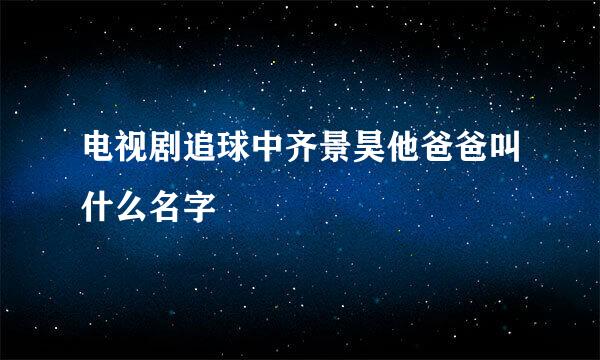 电视剧追球中齐景昊他爸爸叫什么名字