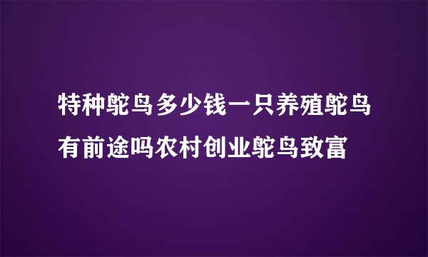 特种鸵鸟多少钱一只养殖鸵鸟有前途吗农村创业鸵鸟致富