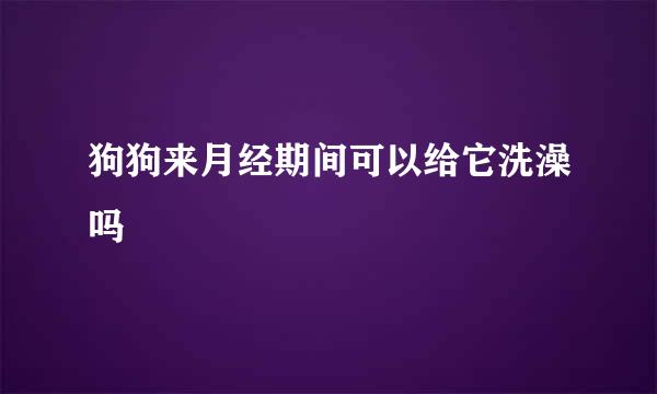 狗狗来月经期间可以给它洗澡吗