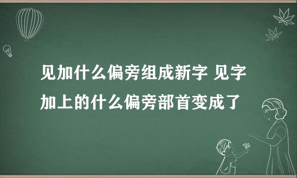 见加什么偏旁组成新字 见字加上的什么偏旁部首变成了