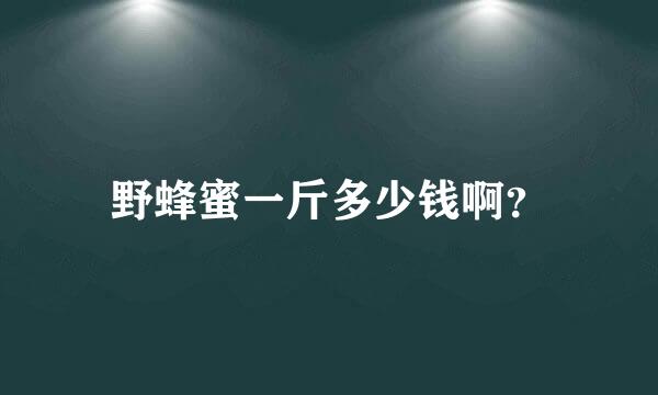 野蜂蜜一斤多少钱啊？